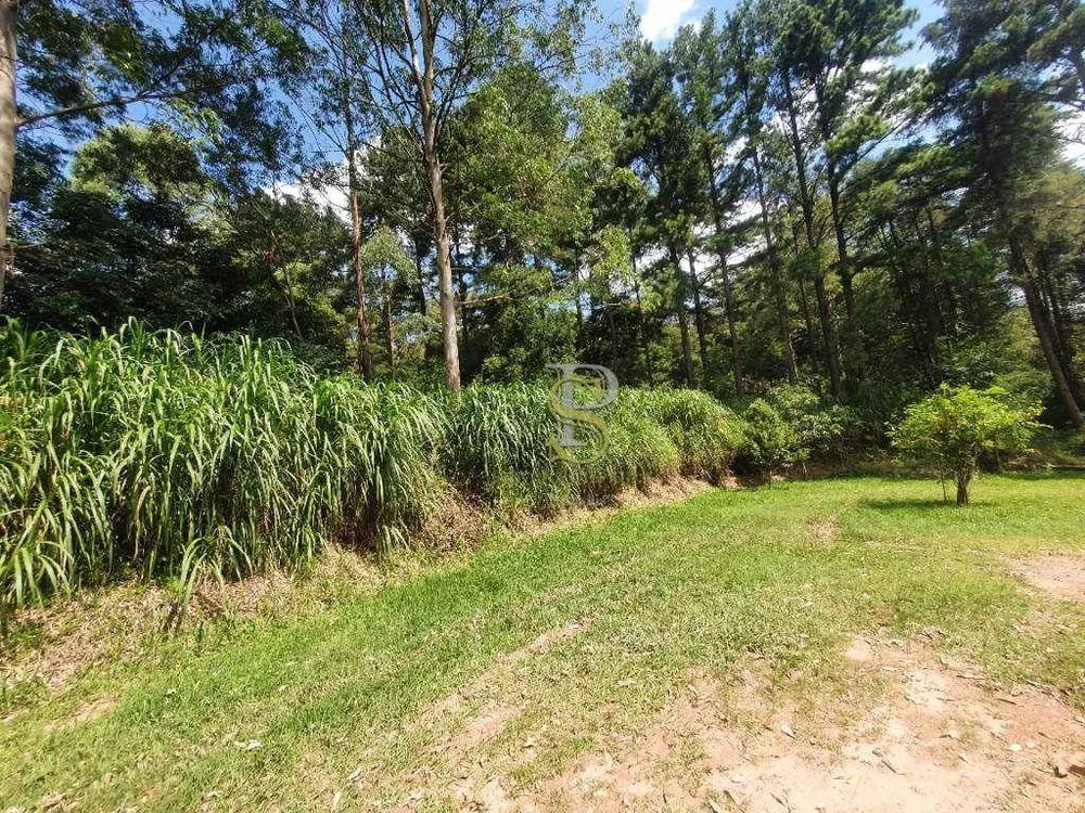 Terreno, 1000 m² - Foto 4