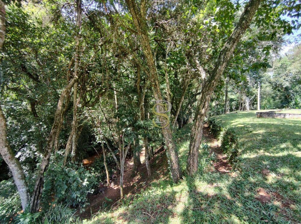 Sítio à venda com 4 quartos, 600m² - Foto 15
