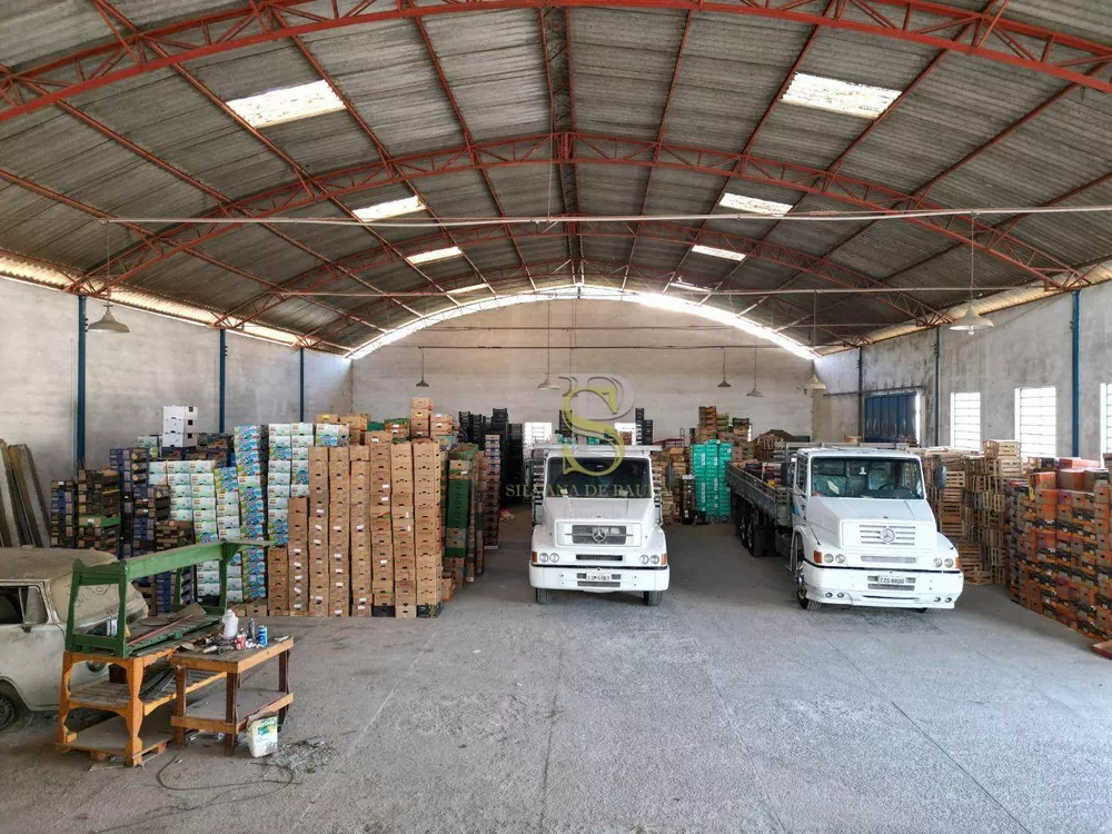 Depósito-Galpão, 600 m² - Foto 4