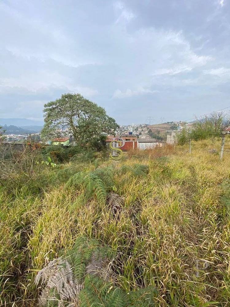 Terreno, 474 m² - Foto 3