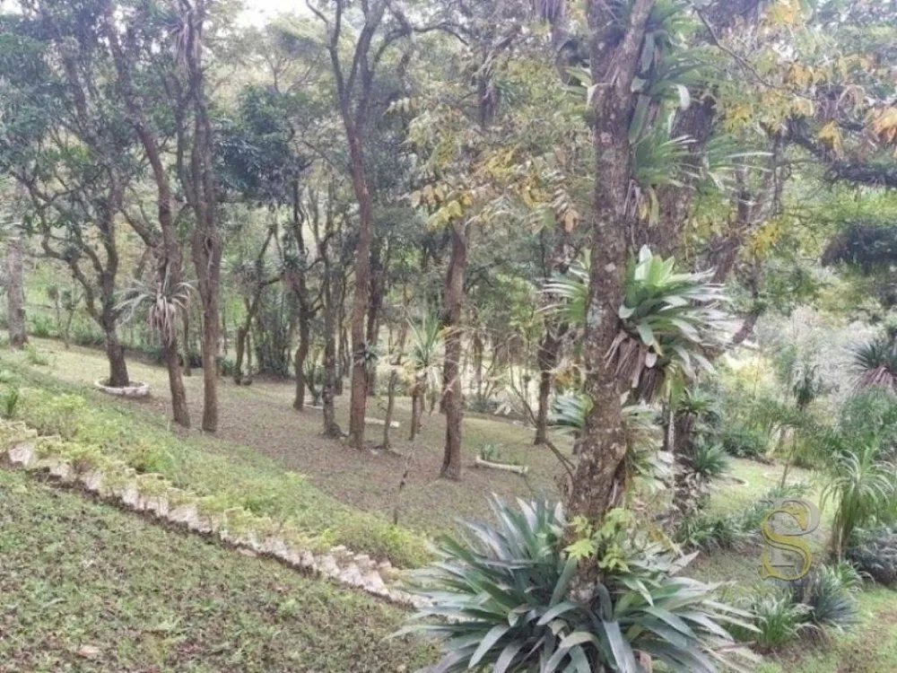 Sítio, 3 quartos, 5 hectares - Foto 9