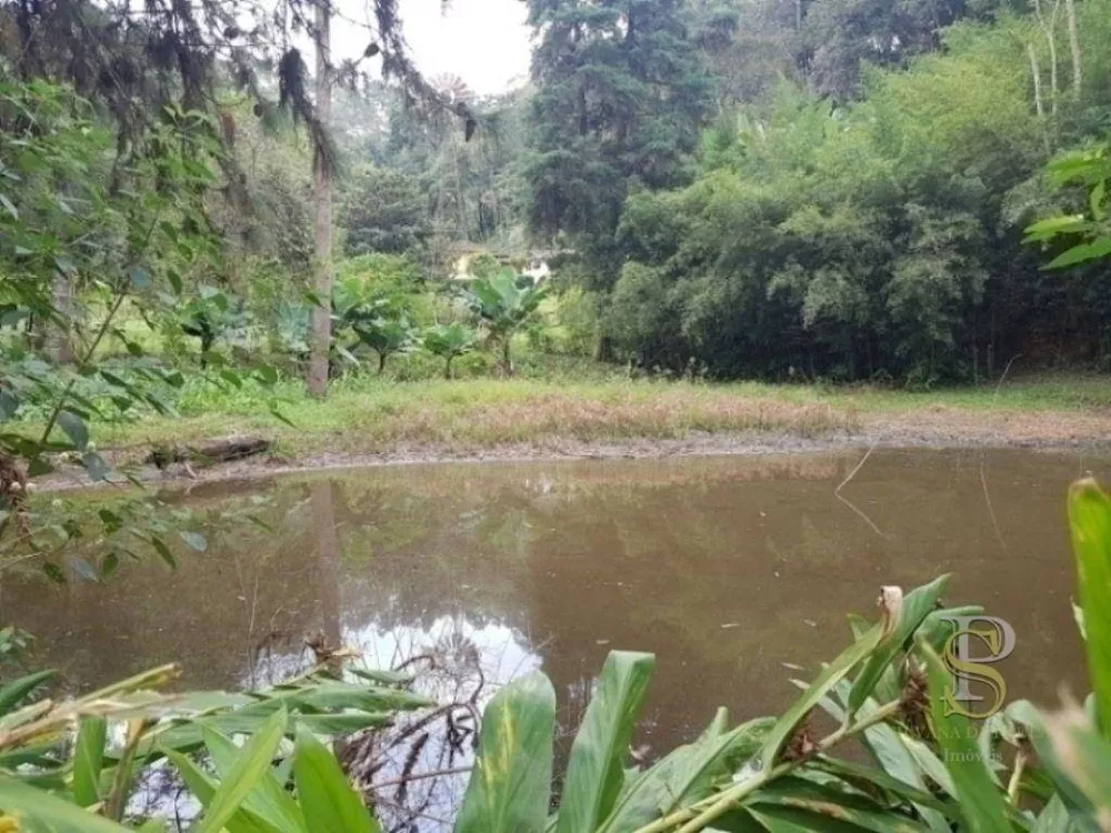 Sítio, 3 quartos, 5 hectares - Foto 5