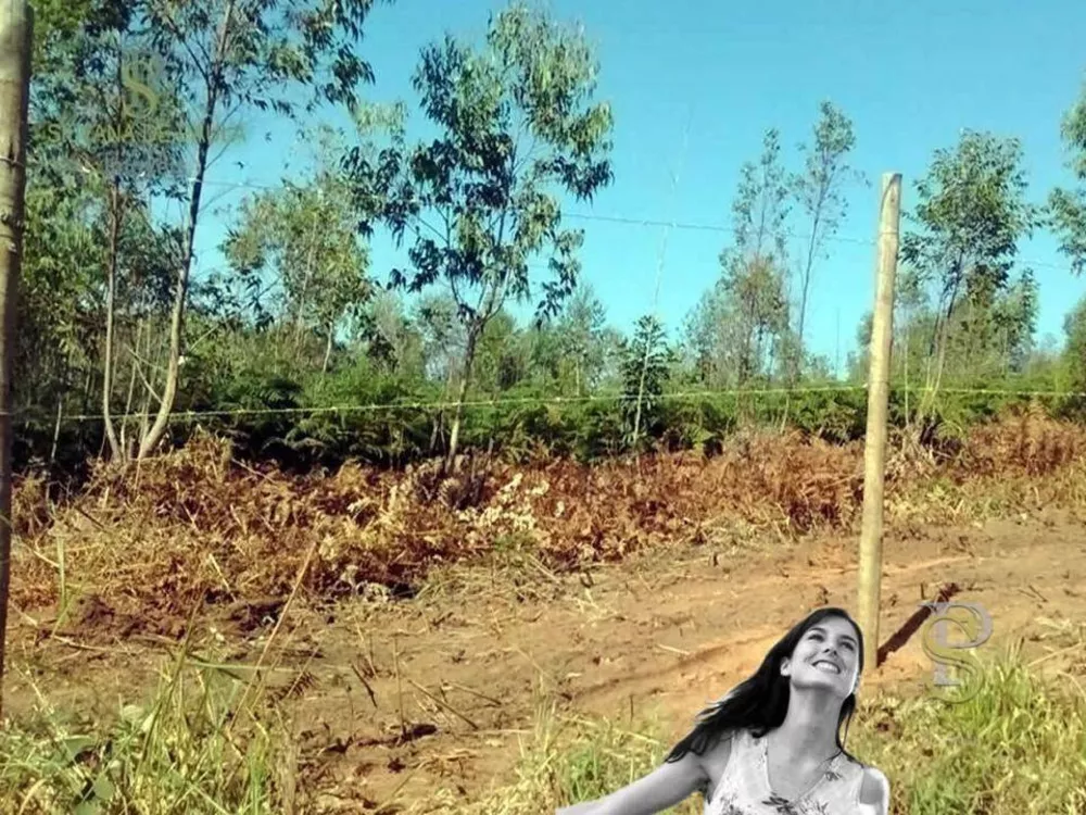 Terreno, 2000 m² - Foto 1