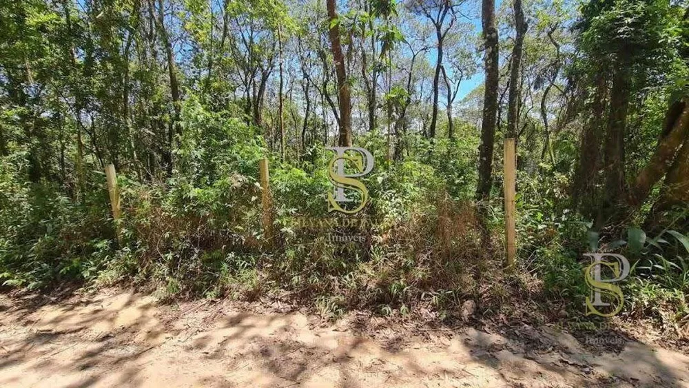 Terreno, 1000 m² - Foto 3