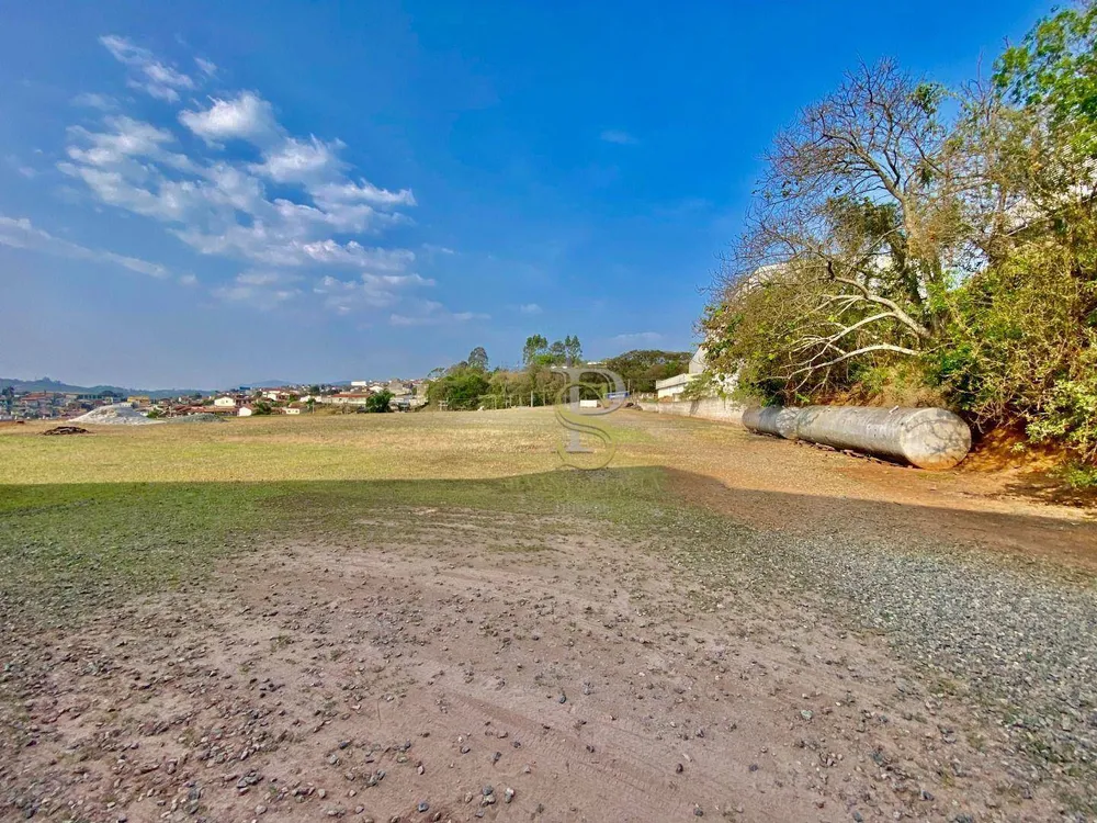 Depósito-Galpão, 5000 m² - Foto 13