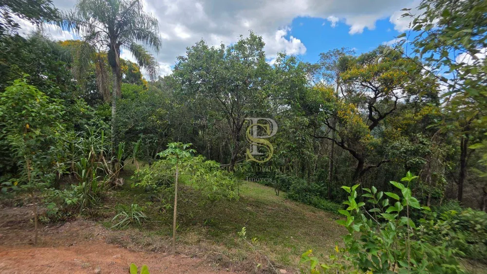 Sítio, 4 quartos, 4 hectares - Foto 7