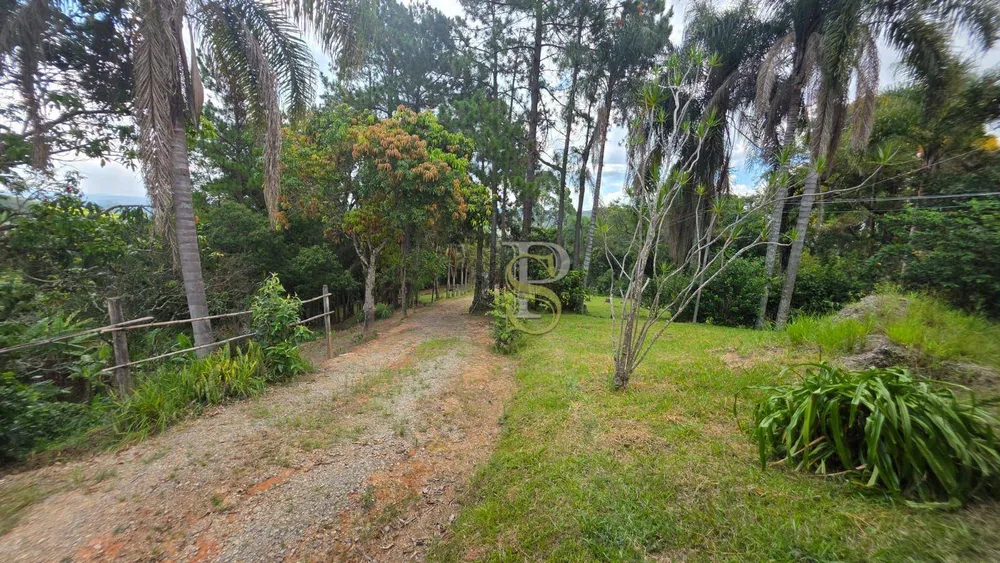 Sítio, 4 quartos, 4 hectares - Foto 8