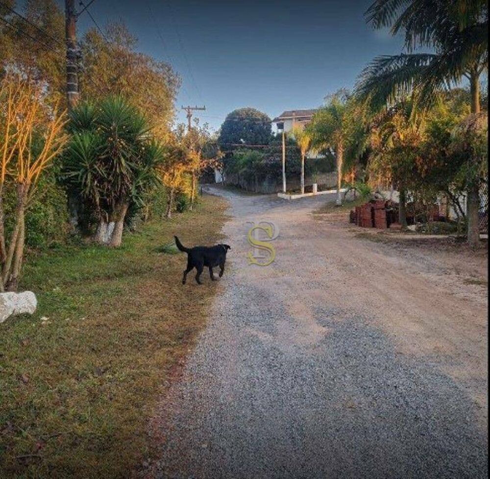 Casa de Condomínio à venda com 4 quartos, 288m² - Foto 39
