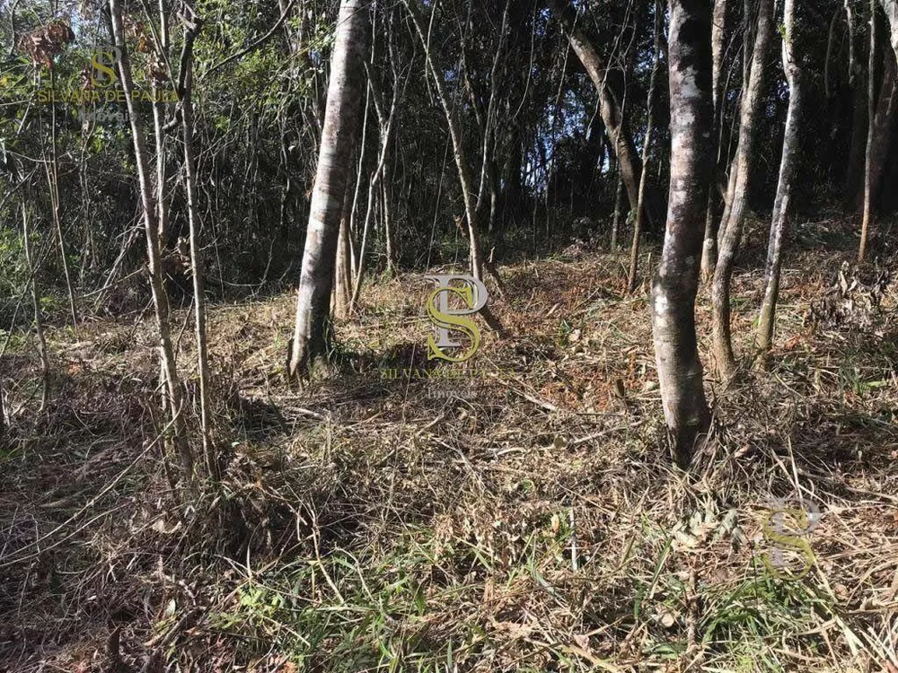 Loteamento e Condomínio, 1500 m² - Foto 3