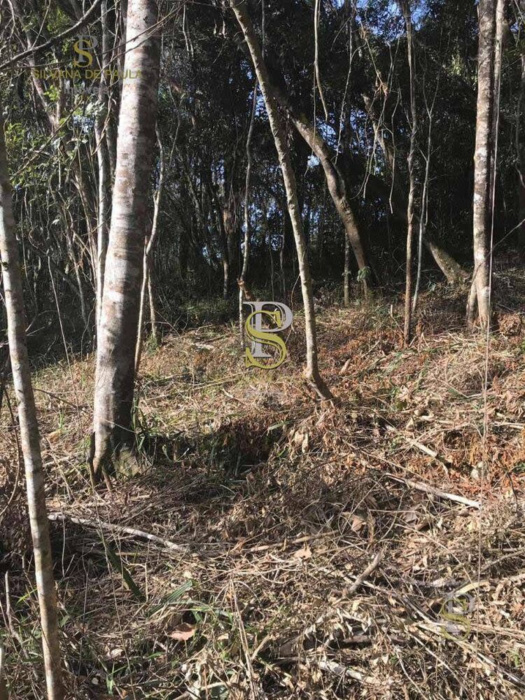 Loteamento e Condomínio, 1500 m² - Foto 2