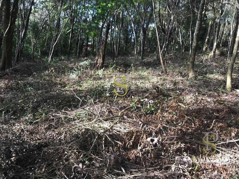 Loteamento e Condomínio, 1500 m² - Foto 10