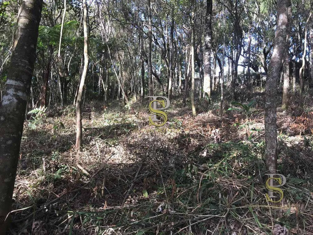 Loteamento e Condomínio, 1500 m² - Foto 8