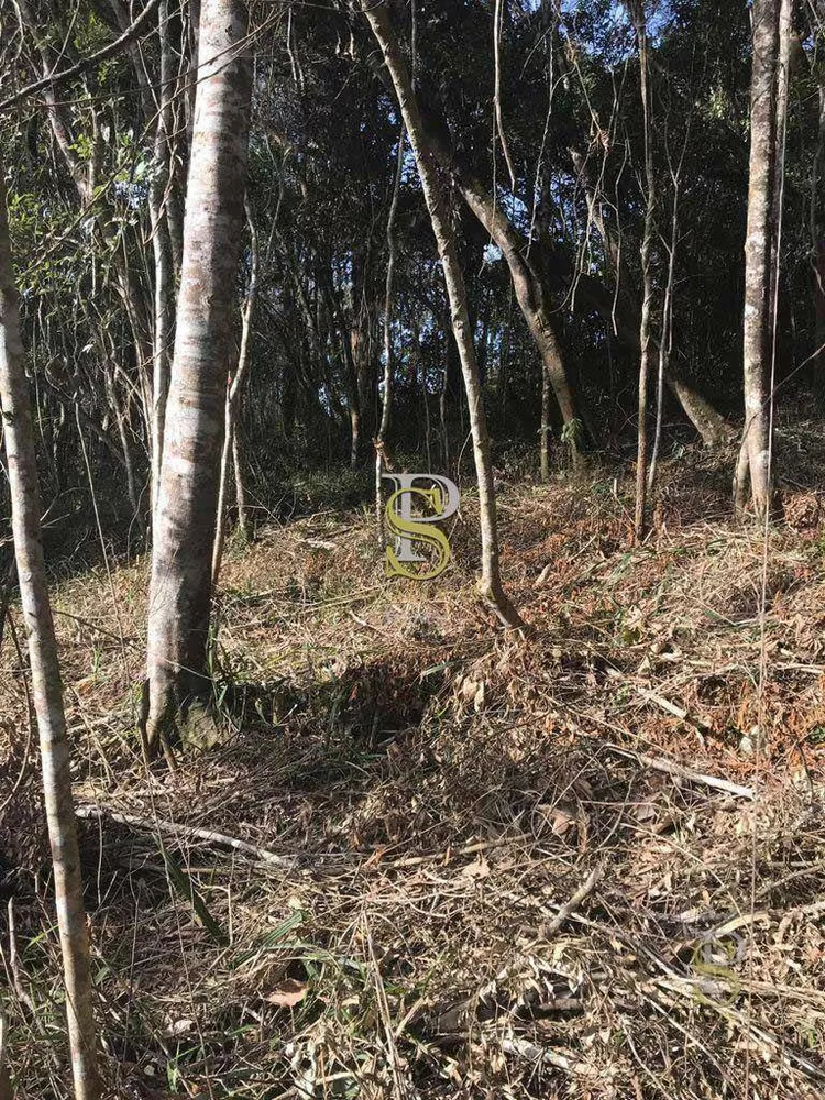 Loteamento e Condomínio, 1500 m² - Foto 6