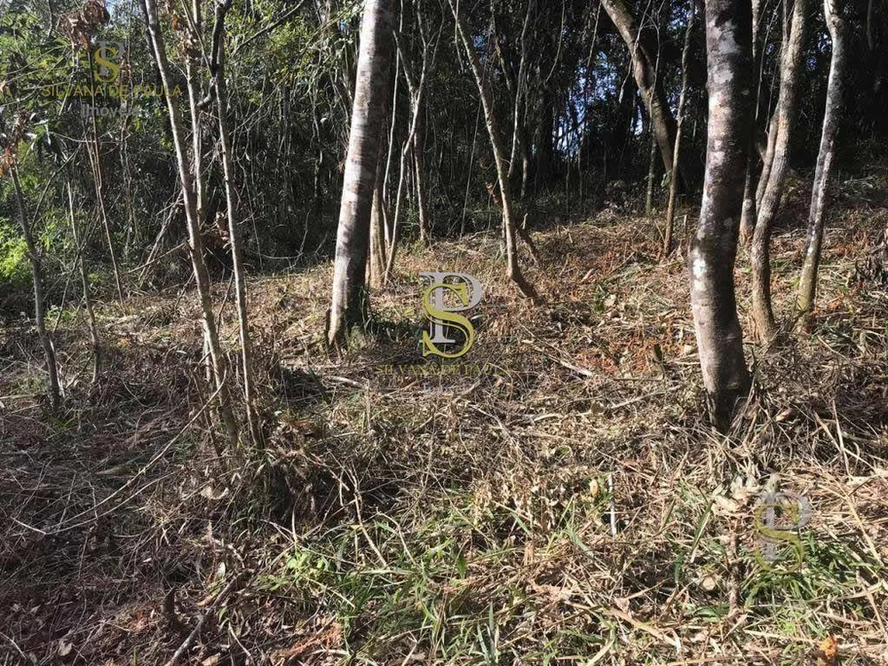 Loteamento e Condomínio, 1500 m² - Foto 6