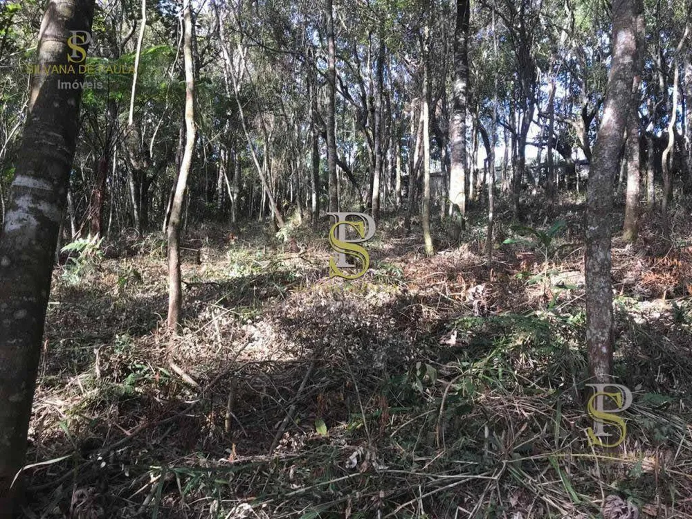 Loteamento e Condomínio, 1500 m² - Foto 2