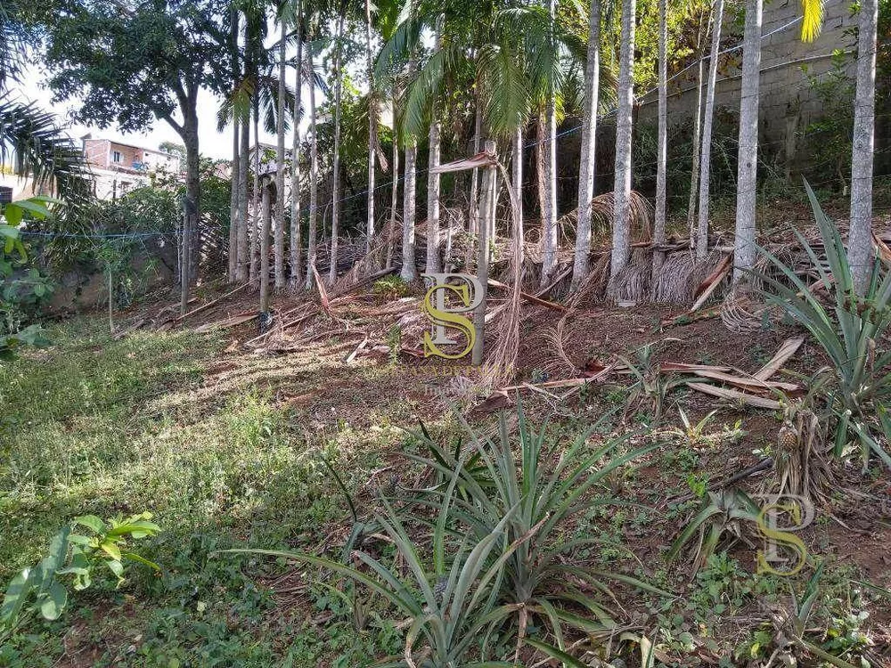 Terreno, 248 m² - Foto 4