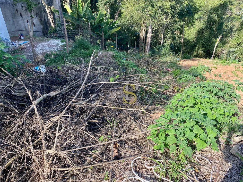 Terreno, 299 m² - Foto 5