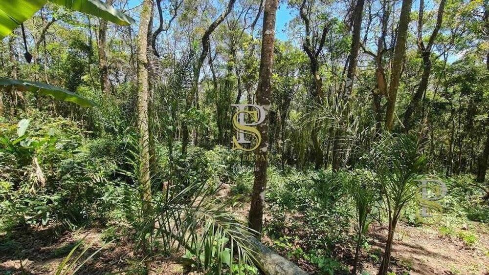 Terreno à venda, 1000M2 - Foto 3