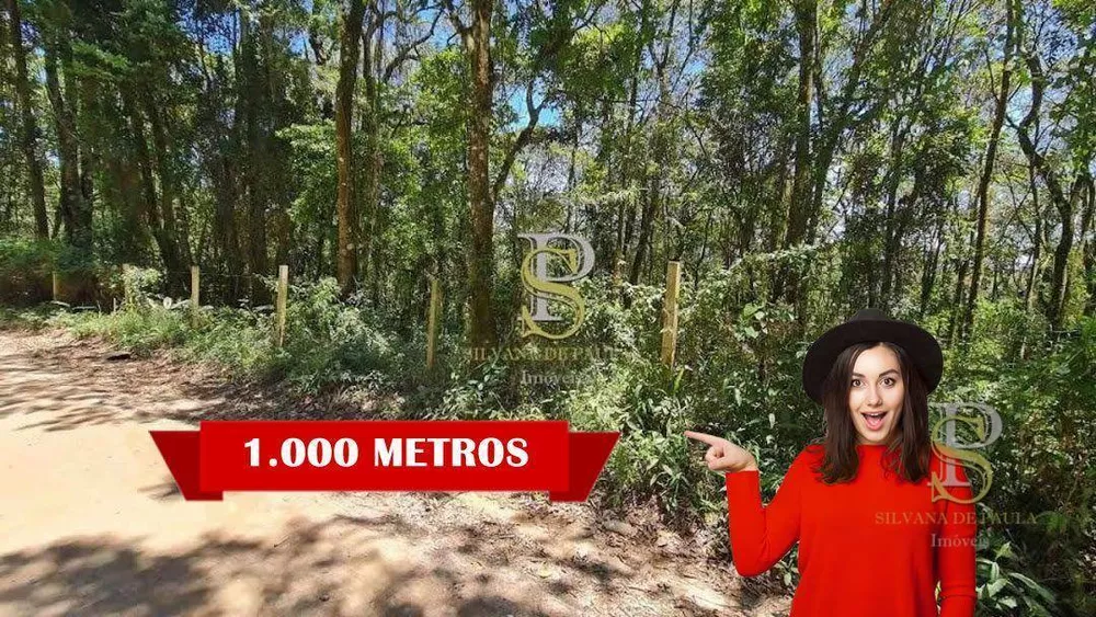 Terreno, 1000 m² - Foto 1