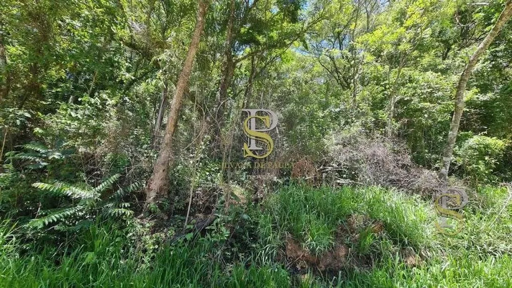 Terreno, 1000 m² - Foto 6