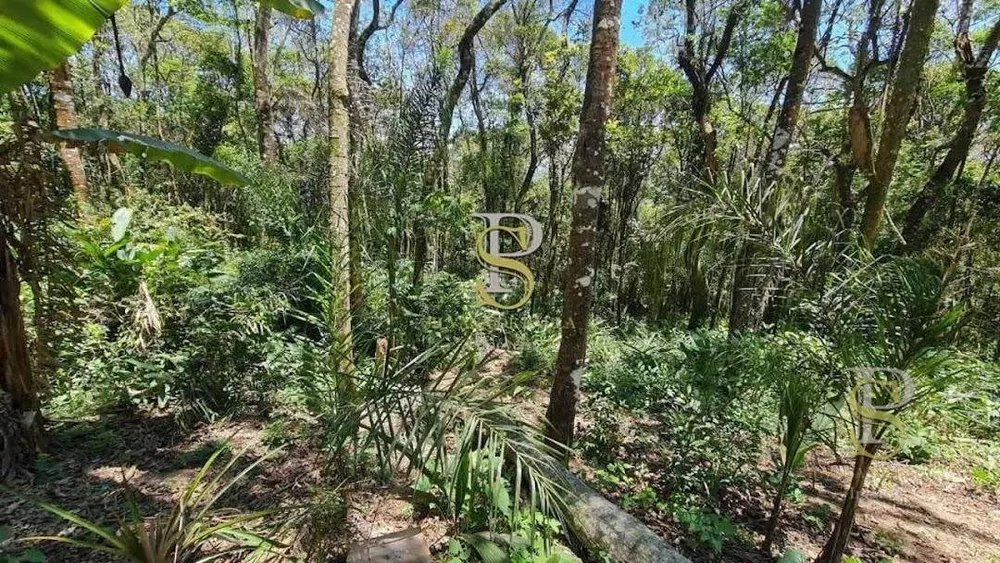 Terreno, 1000 m² - Foto 7