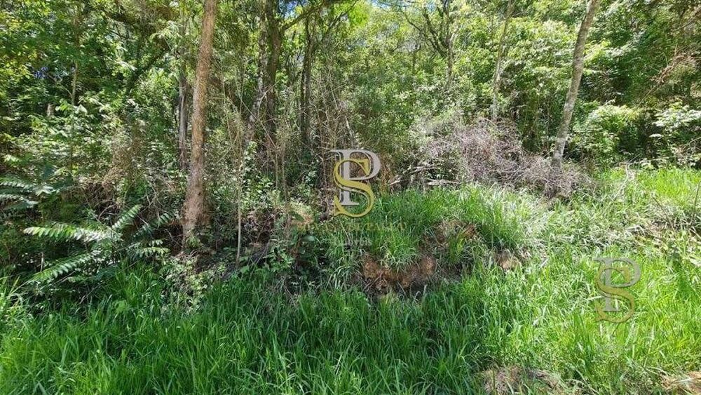 Terreno à venda, 1000M2 - Foto 4