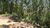 Terreno, 1000 m² - Foto 2