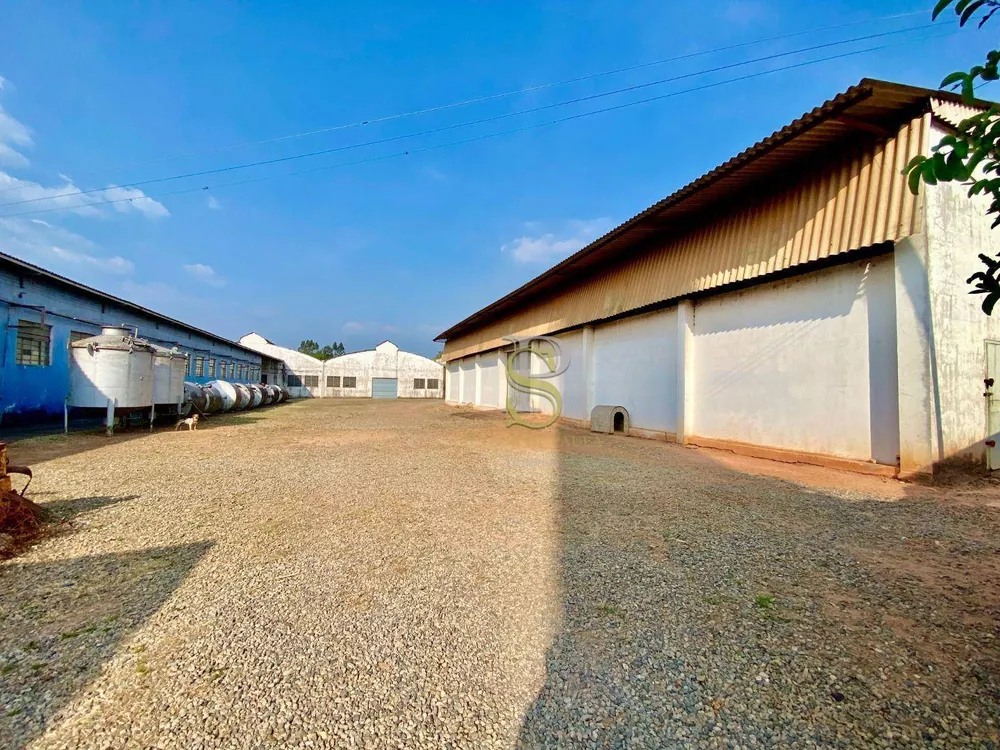 Depósito-Galpão, 5000 m² - Foto 3