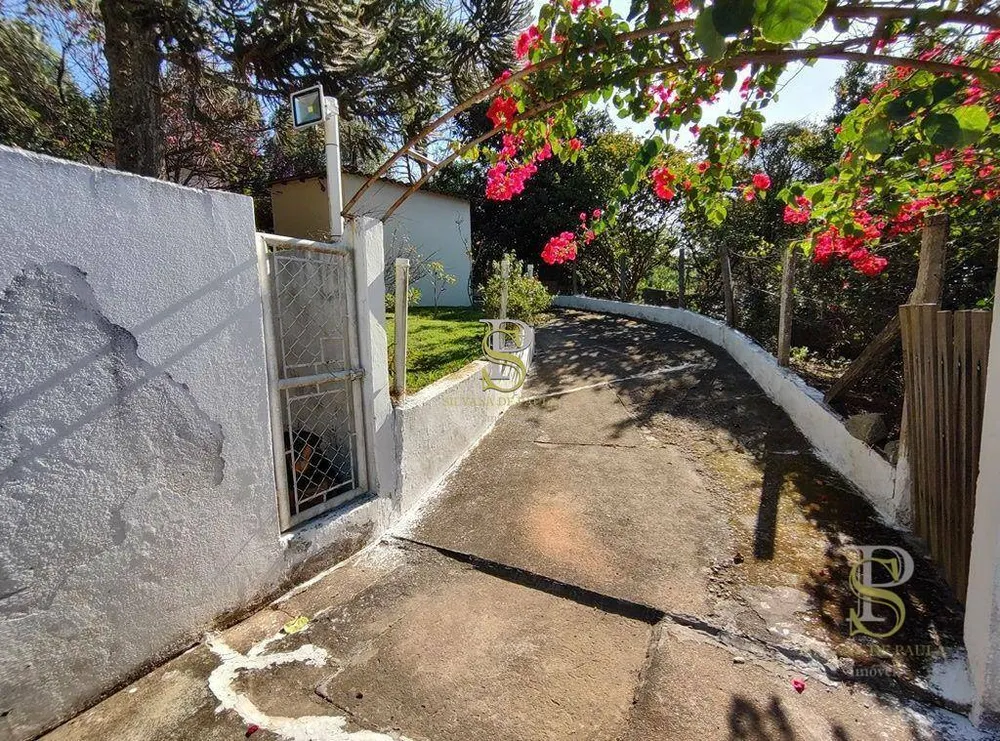 Chácara, 2 quartos, 6000 m² - Foto 15