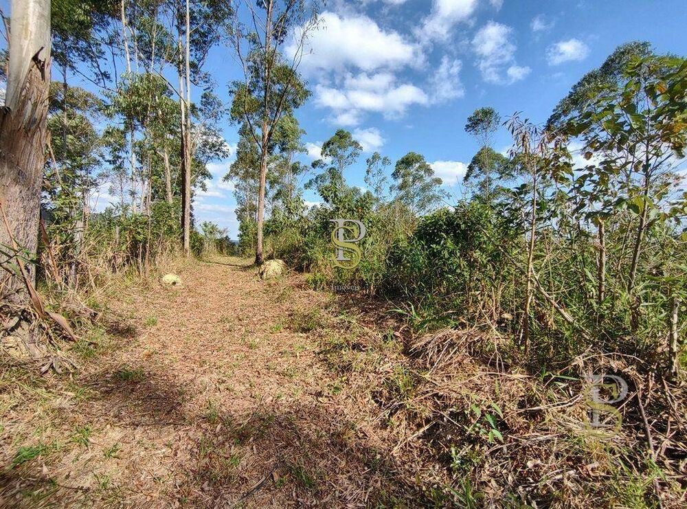 Terreno, 21 hectares - Foto 3