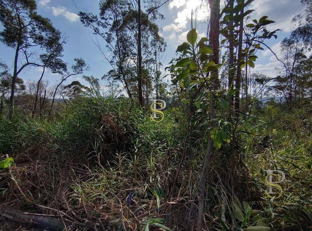 Terreno, 21 hectares - Foto 18