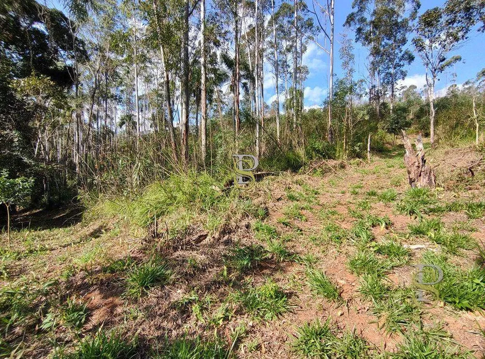 Terreno, 21 hectares - Foto 11