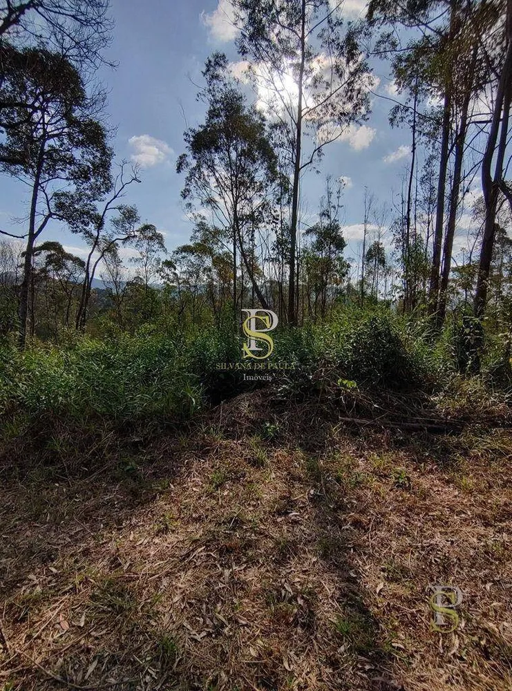 Terreno, 21 hectares - Foto 9