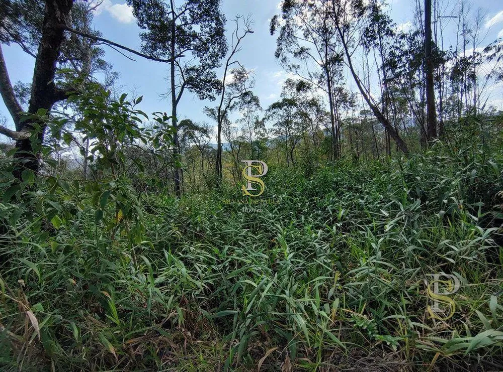 Terreno, 21 hectares - Foto 19