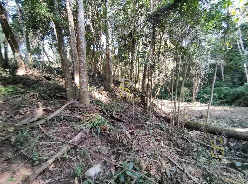 Terreno, 21 hectares - Foto 6