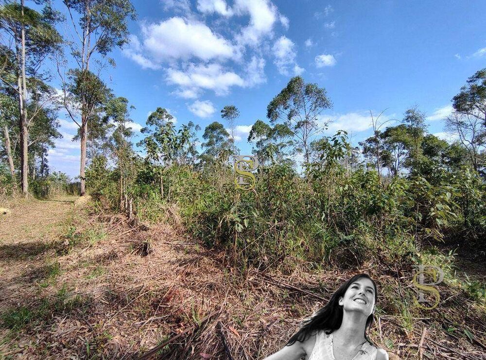 Terreno, 21 hectares - Foto 2