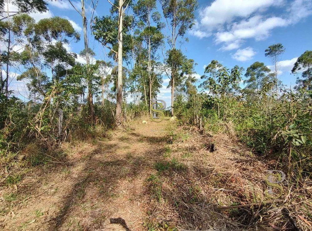 Terreno, 21 hectares - Foto 3