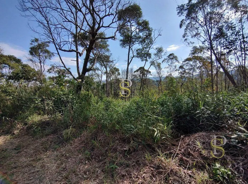 Terreno, 21 hectares - Foto 7