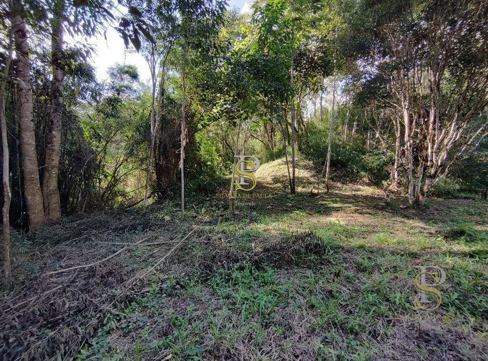 Terreno, 21 hectares - Foto 15