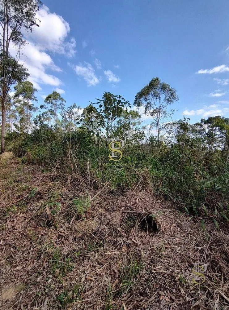 Terreno, 21 hectares - Foto 20