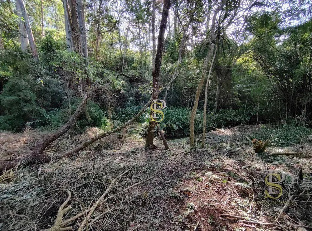 Terreno, 21 hectares - Foto 14