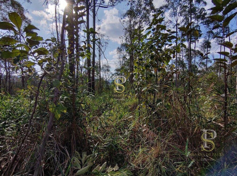 Terreno, 21 hectares - Foto 4