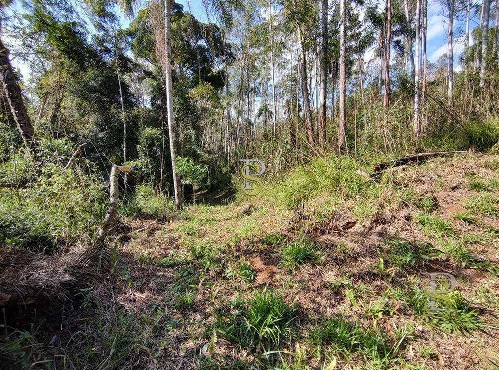 Terreno, 21 hectares - Foto 12