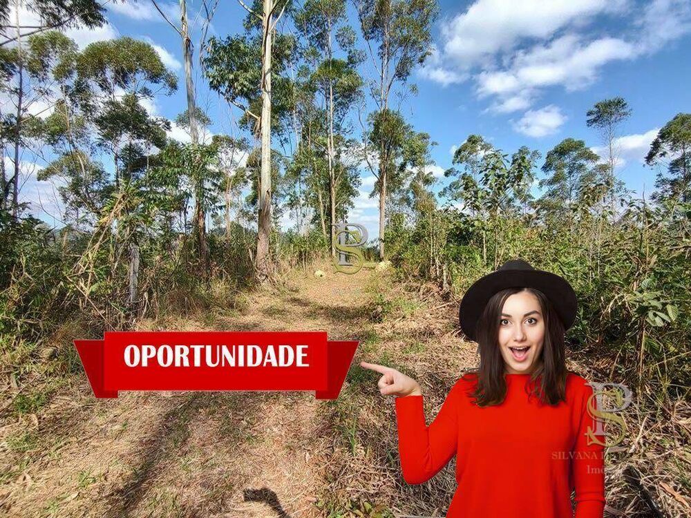 Terreno, 21 hectares - Foto 1