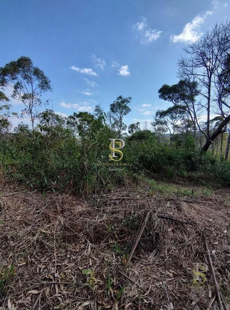 Terreno, 21 hectares - Foto 5