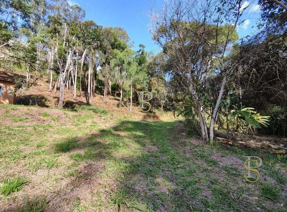 Terreno, 21 hectares - Foto 7