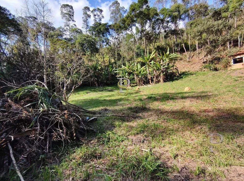 Terreno, 21 hectares - Foto 4