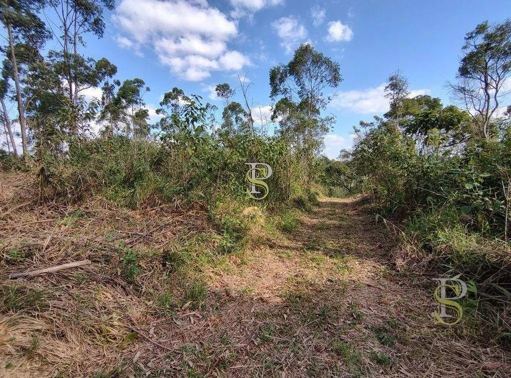 Terreno, 21 hectares - Foto 6