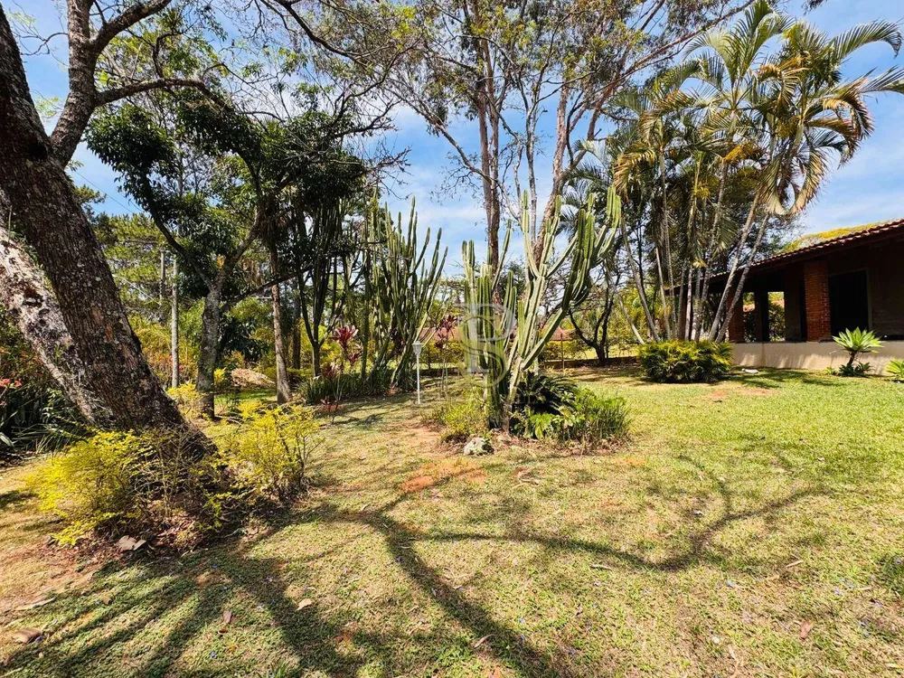Chácara, 6 quartos, 3200 m² - Foto 3