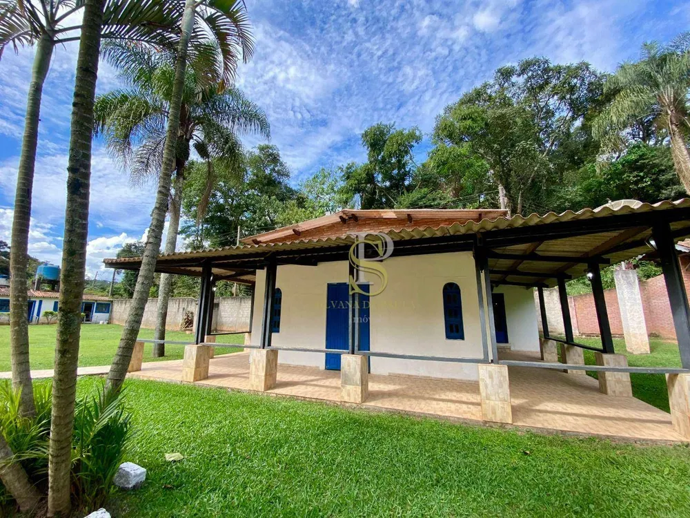 Sítio, 4 quartos, 3500 m² - Foto 4